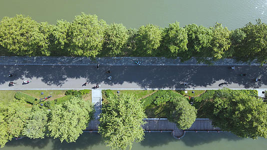 航拍城市公园湖景林荫绿道健身人群4k运动素材视频的预览图
