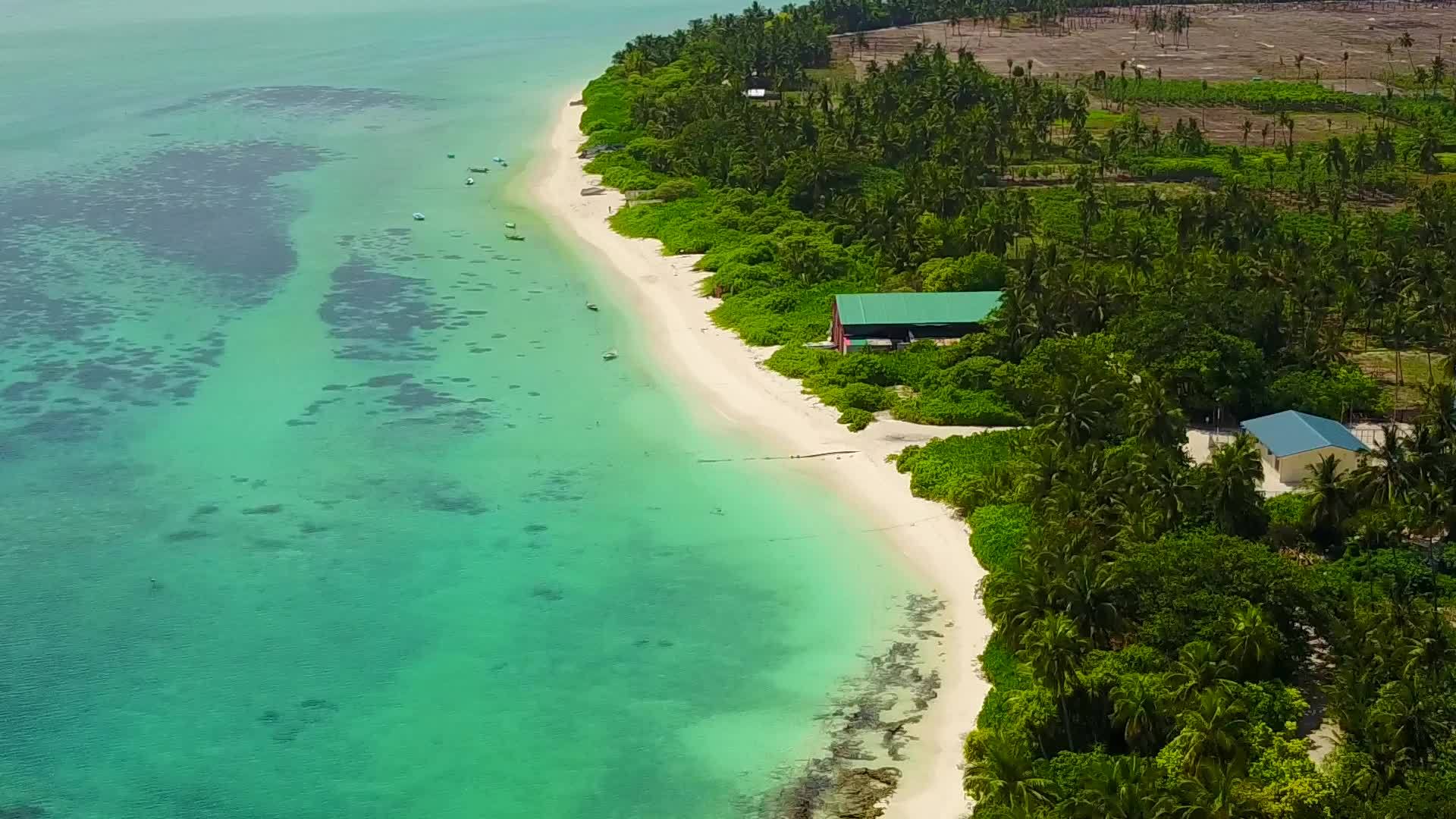 热带环礁湖海滩被白沙背景的蓝色海平面隔开视频的预览图