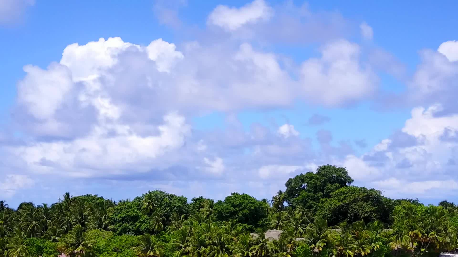 通过清晰的环礁湖和白色海滩背景放松旅游海滩野生生物视频的预览图