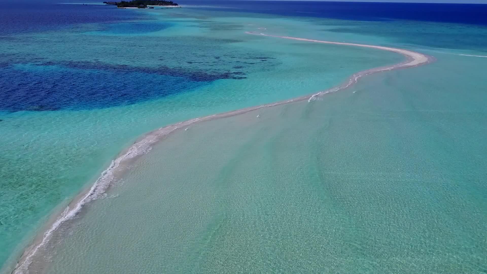 热带海岸海滩野生动物空中无人驾驶飞机摘要视频的预览图