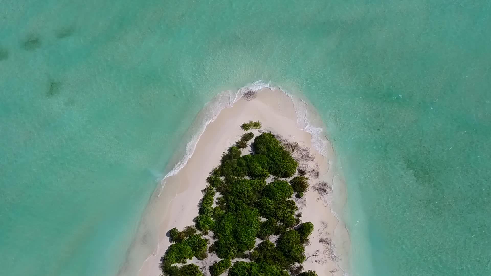 在蓝绿环礁湖和白色沙滩的背景下沿着宁静的海滩航行视频的预览图