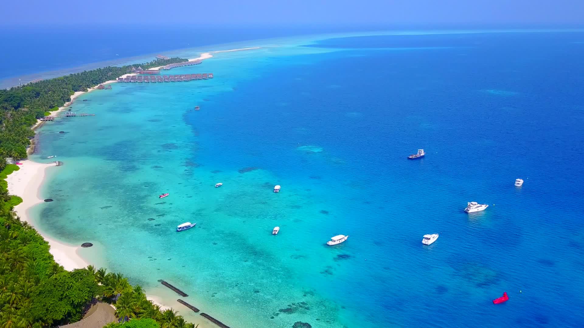 在蓝绿色的水和白色的沙子背景下完美的海滩野生动物空中无人机海景视频的预览图