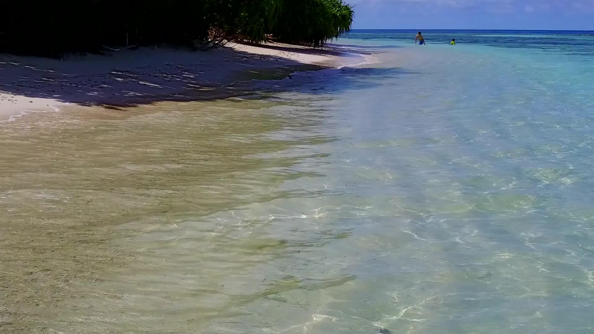 在白沙的背景下清澈的海洋和田园诗般的海滩度假视频的预览图