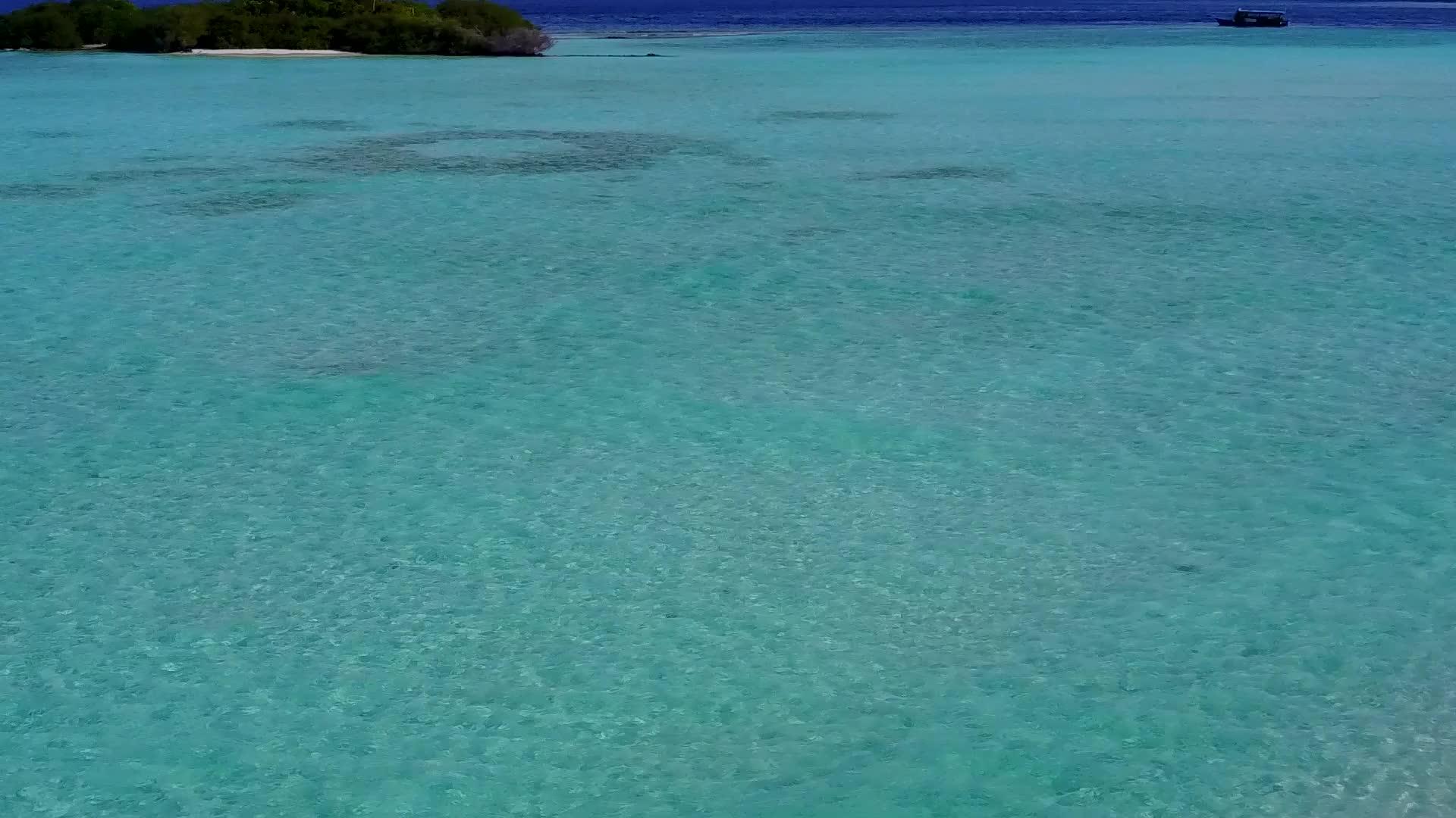 环礁湖周围的豪华海滩野生生物通过白沙背景的清海空中无人驾驶视频的预览图