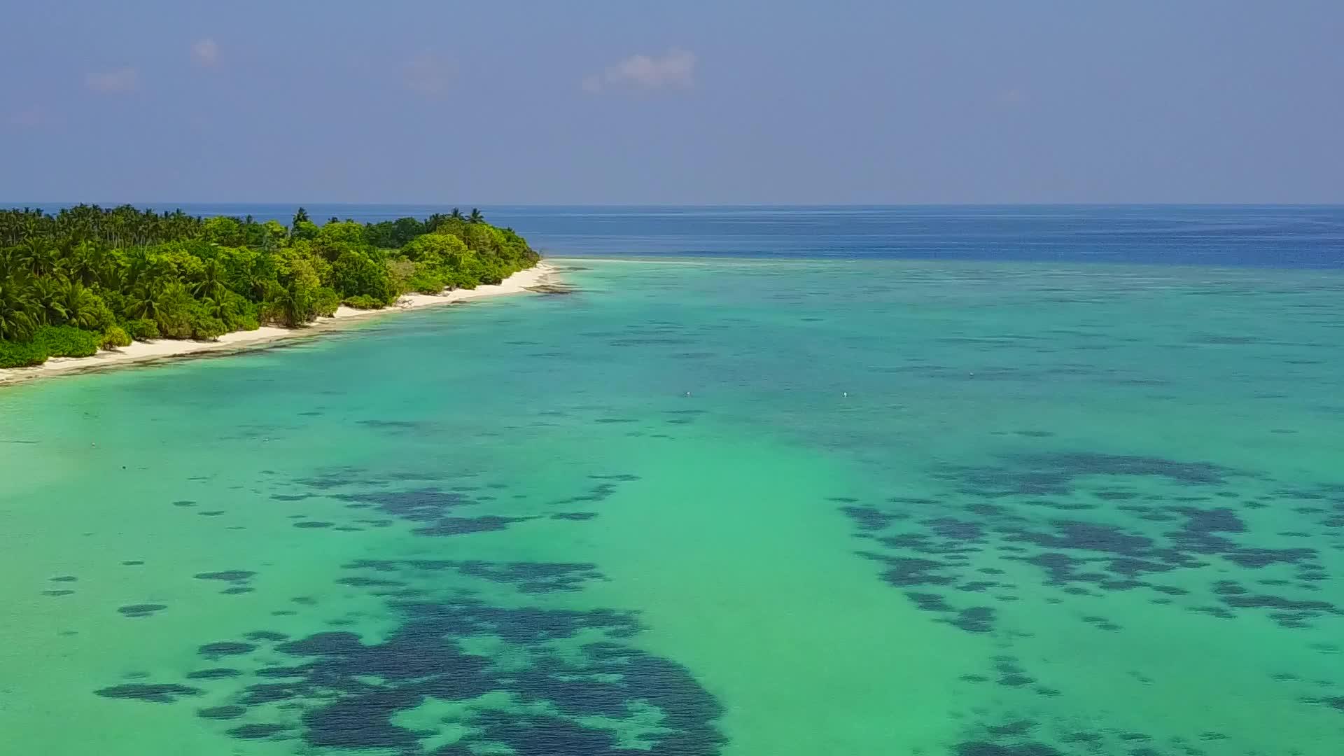 利用蓝绿水和清洁沙土背景的蓝绿水让海滨野生生物放松视频的预览图