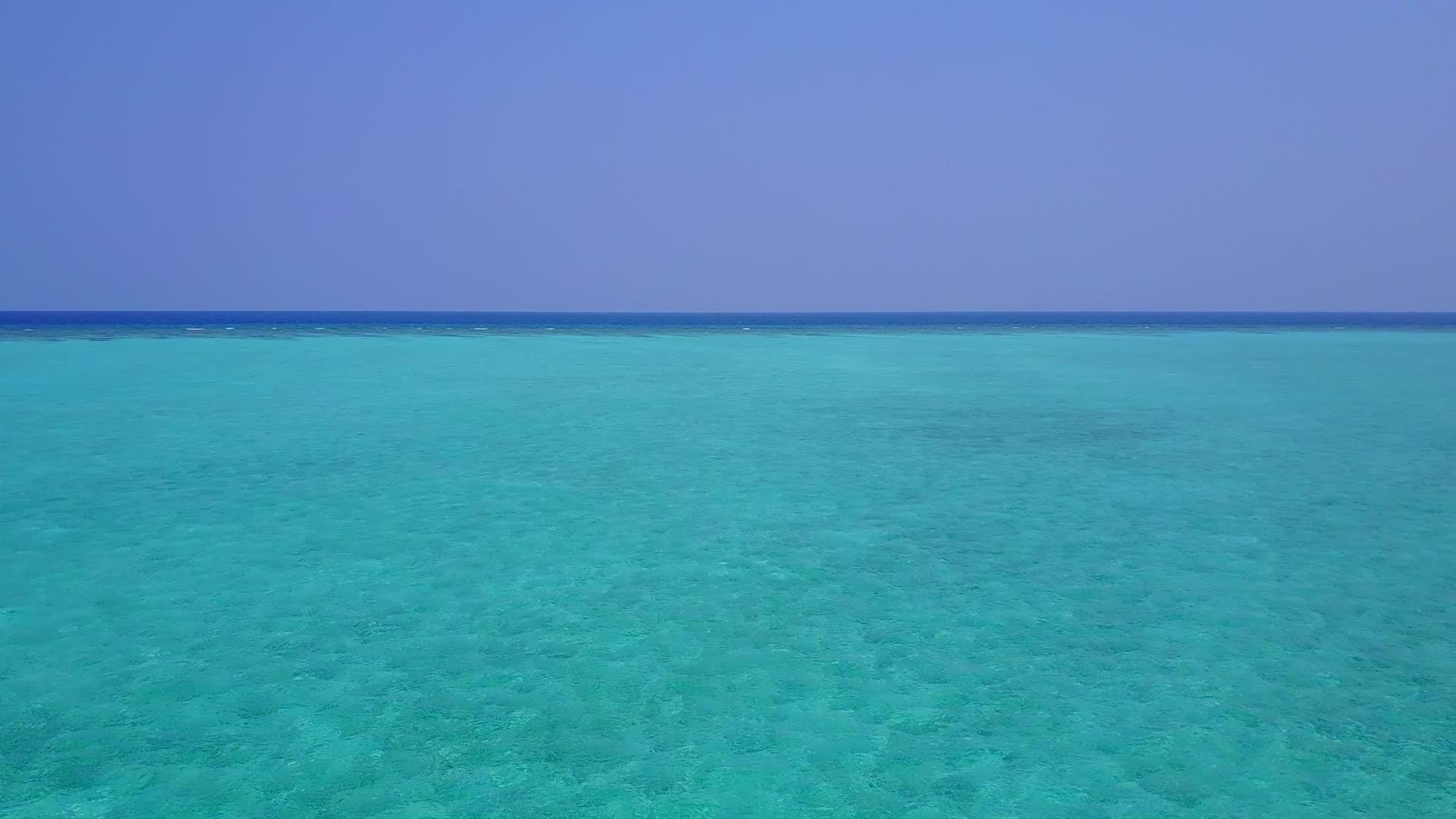 蓝色泻湖和干净的沙滩背景下热带岛屿海滩野生动物的空气视频的预览图
