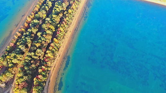 秋天森林道路、森林和湖泊的风景和平的清晨以多彩的秋叶为例视频的预览图