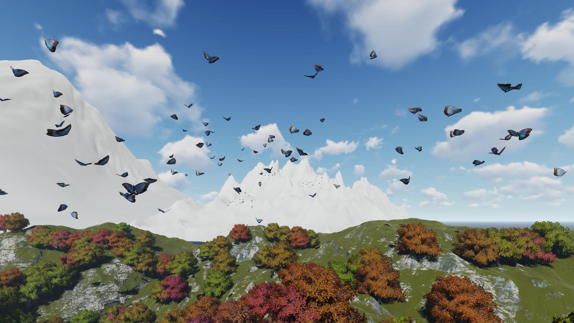 秋天的树林和五颜六色的蝴蝶在上面飞翔视频的预览图