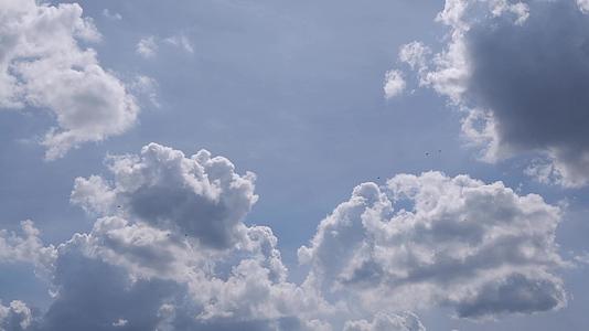 云在天空中快速移动鸟儿在白天明亮的天空中飞翔视频的预览图