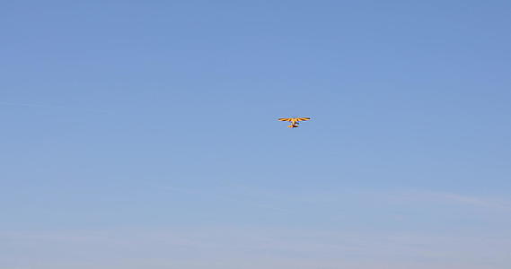 黄模飞机浮标视频的预览图