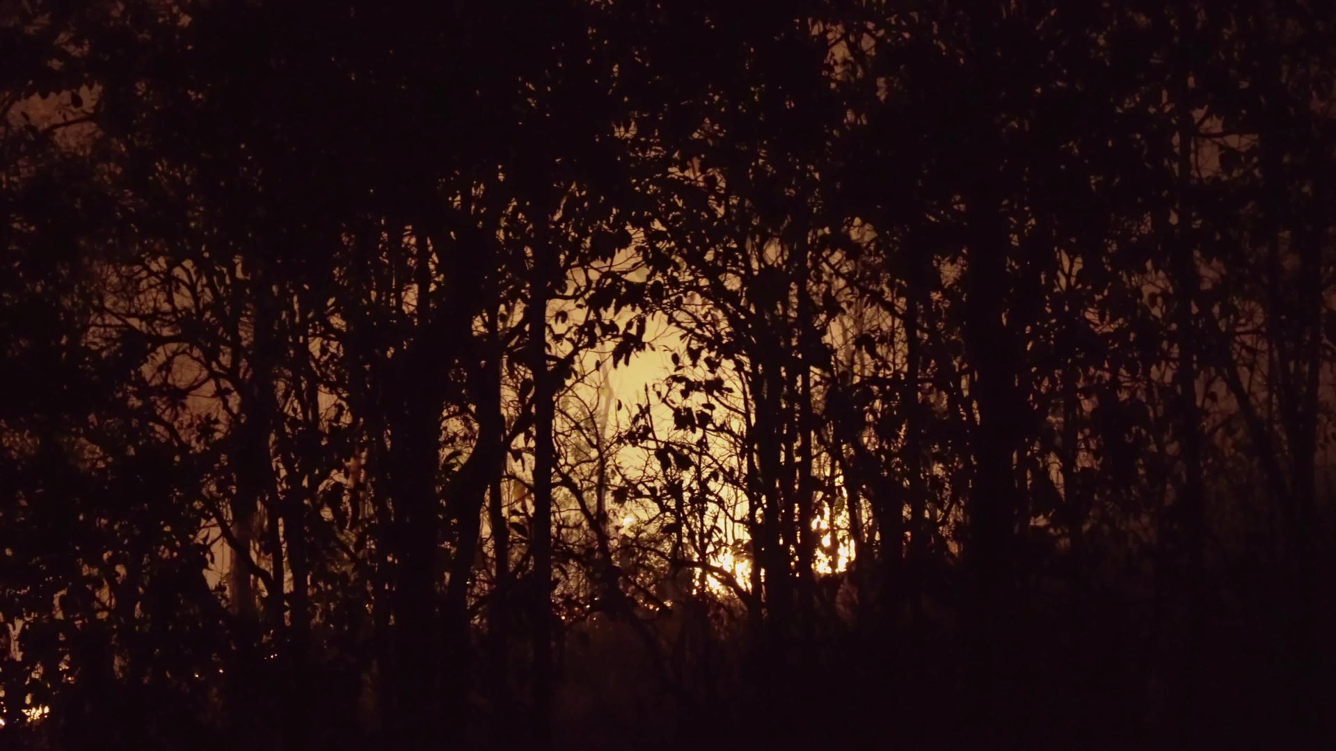 森林火灾引起的热烟雾视频的预览图