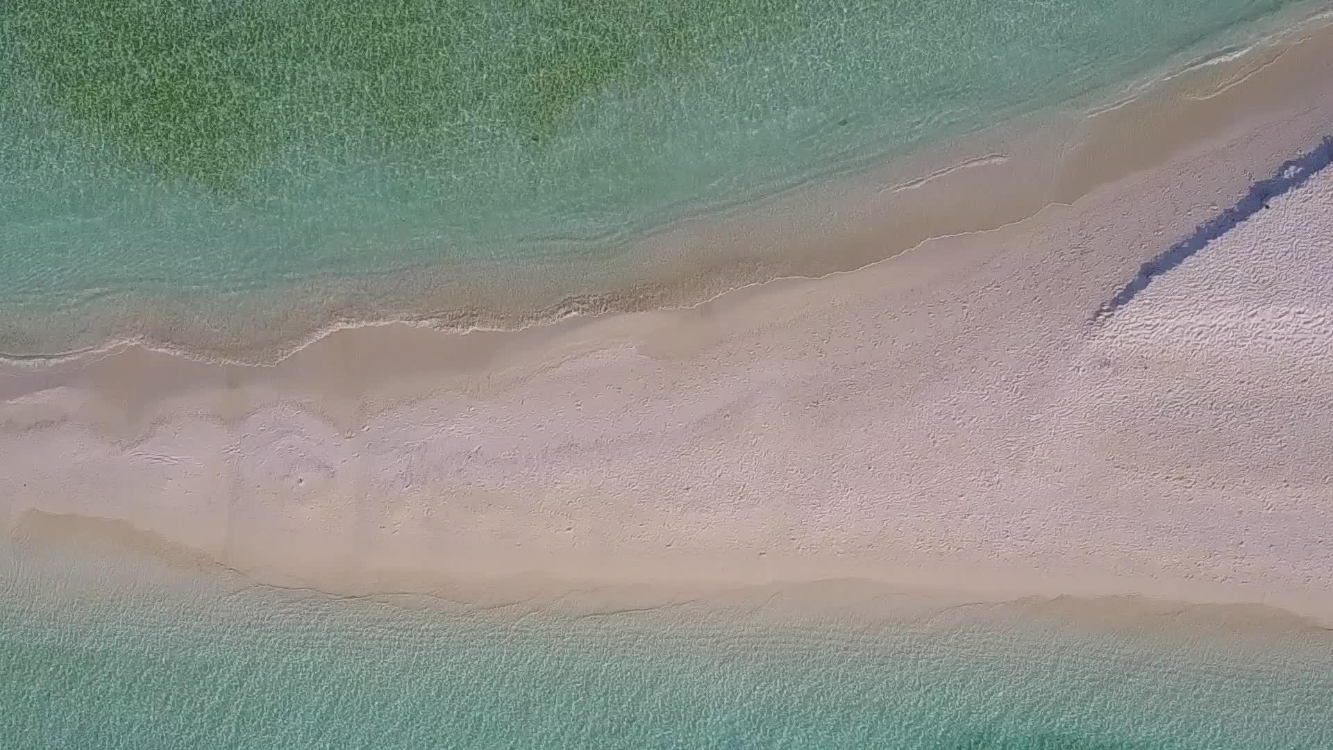水蓝色的水和棕榈树附近的白色海滩背景的宁静度假村海滩视频的预览图
