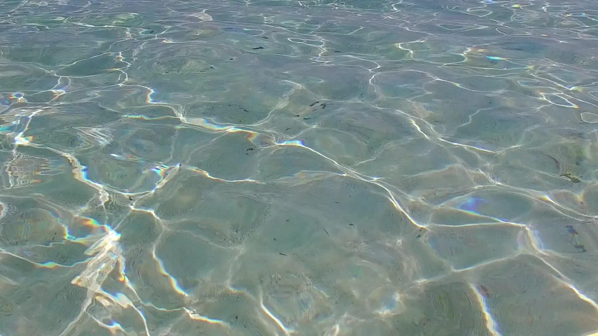 在阳光下热带海岸海滩的生活方式是在蓝海和白沙的背景下复制的视频的预览图