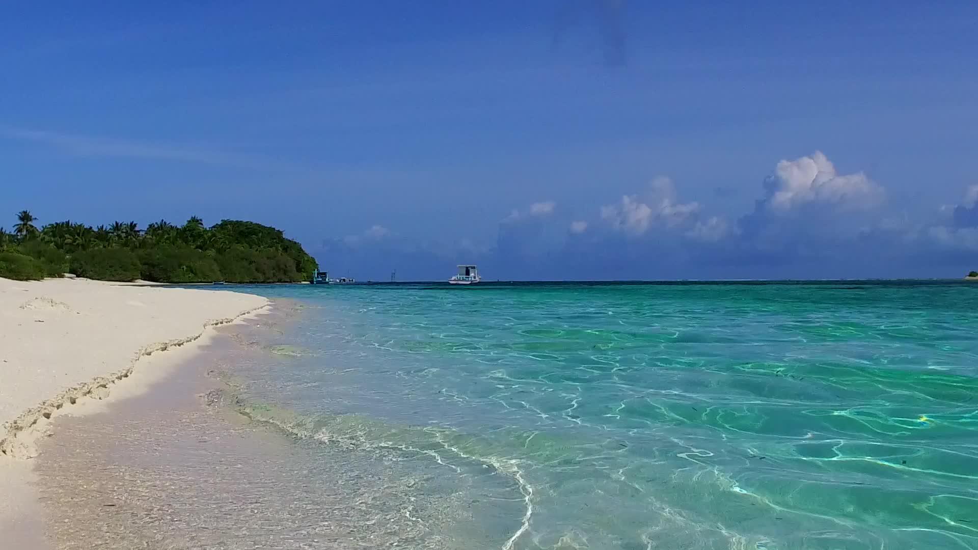 阳光明媚的豪华度假胜地穿过棕榈树附近的蓝色绿色海洋视频的预览图