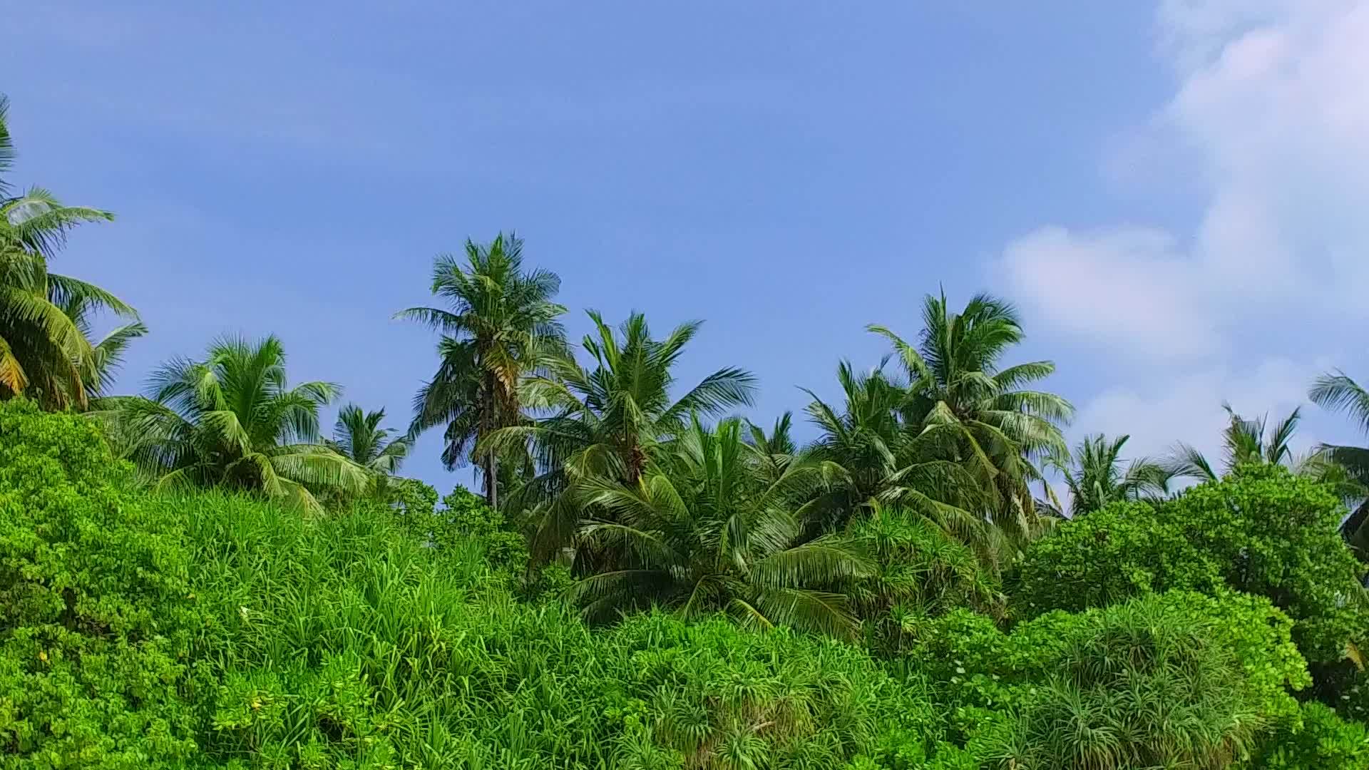 蓝色绿色海洋的宁静海滨海滩冒险夏季风景靠近冲浪白沙背景视频的预览图