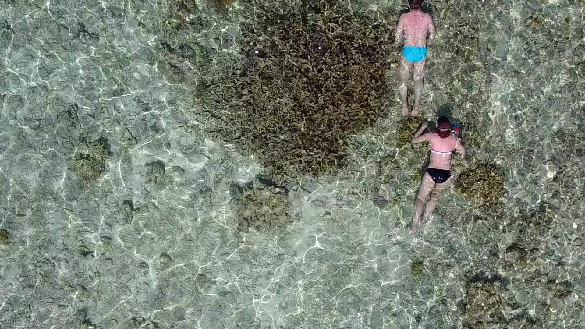 蓝海和沙洲附近干净的海滩背景完美的旅游海滩冒险阳光视频的预览图