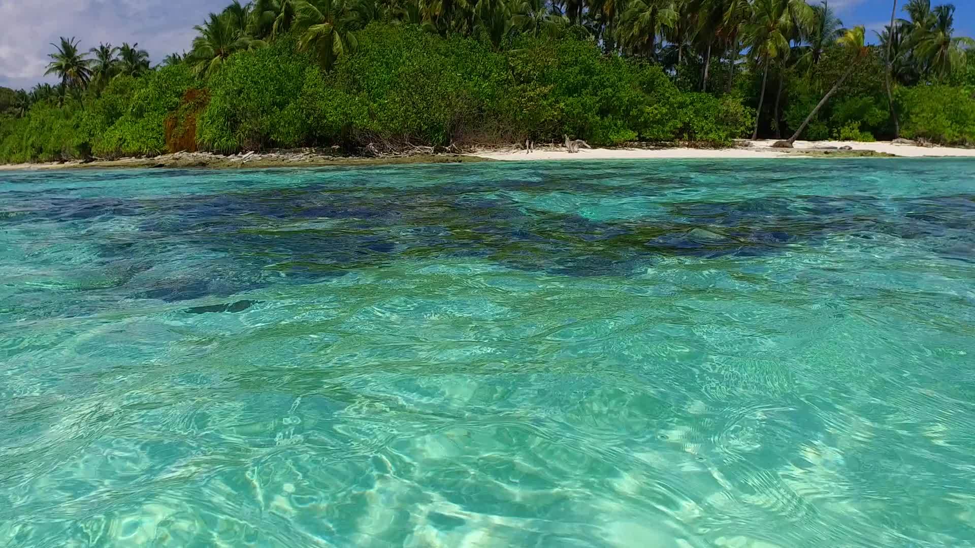 浅海和棕榈树附近的白色海滩背景田园诗般的海岸海滩度假视频的预览图