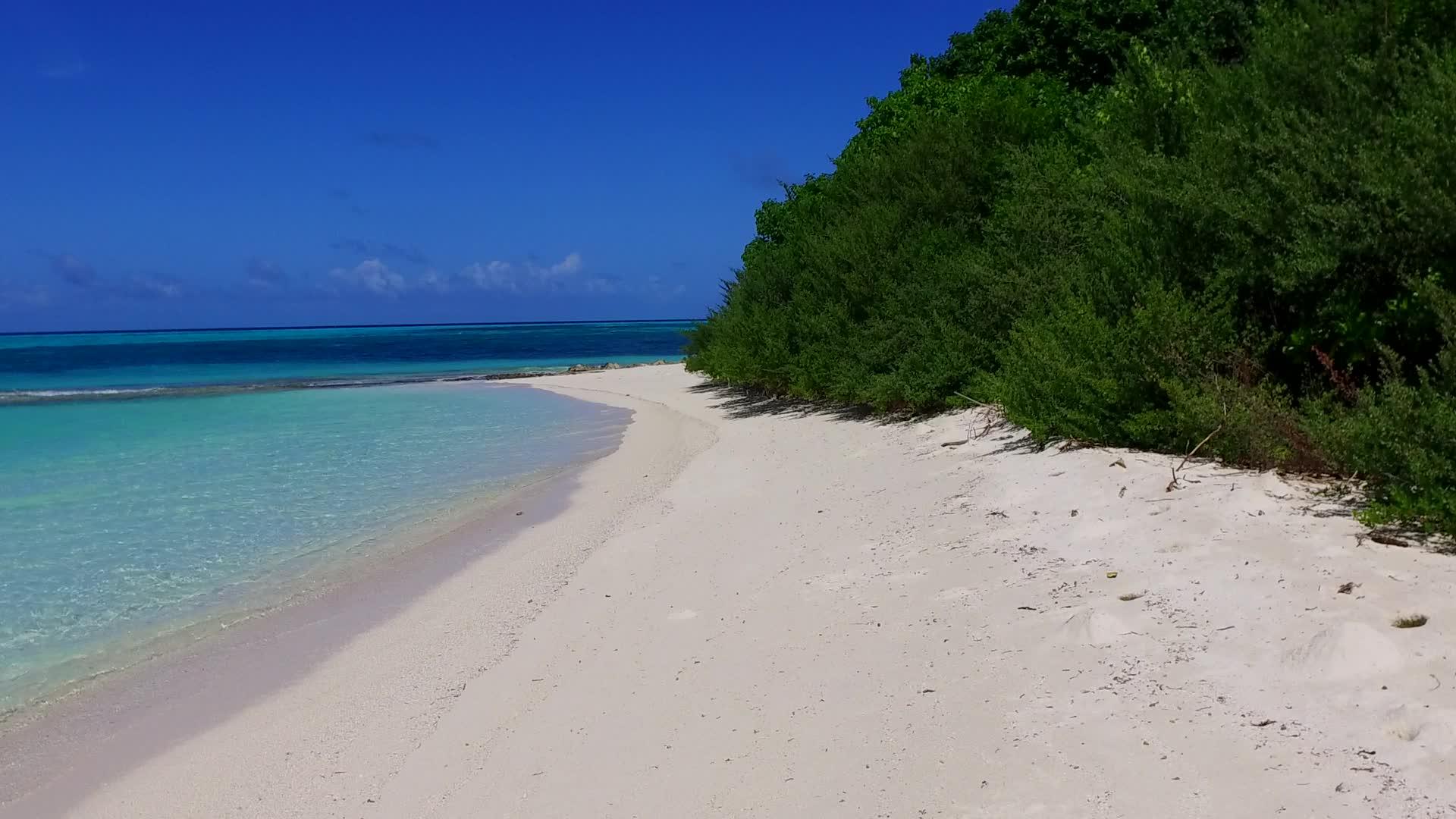 在浅海和棕榈树附近的清洁沙滩背景下的外国环礁湖海滩假日宽角视频的预览图
