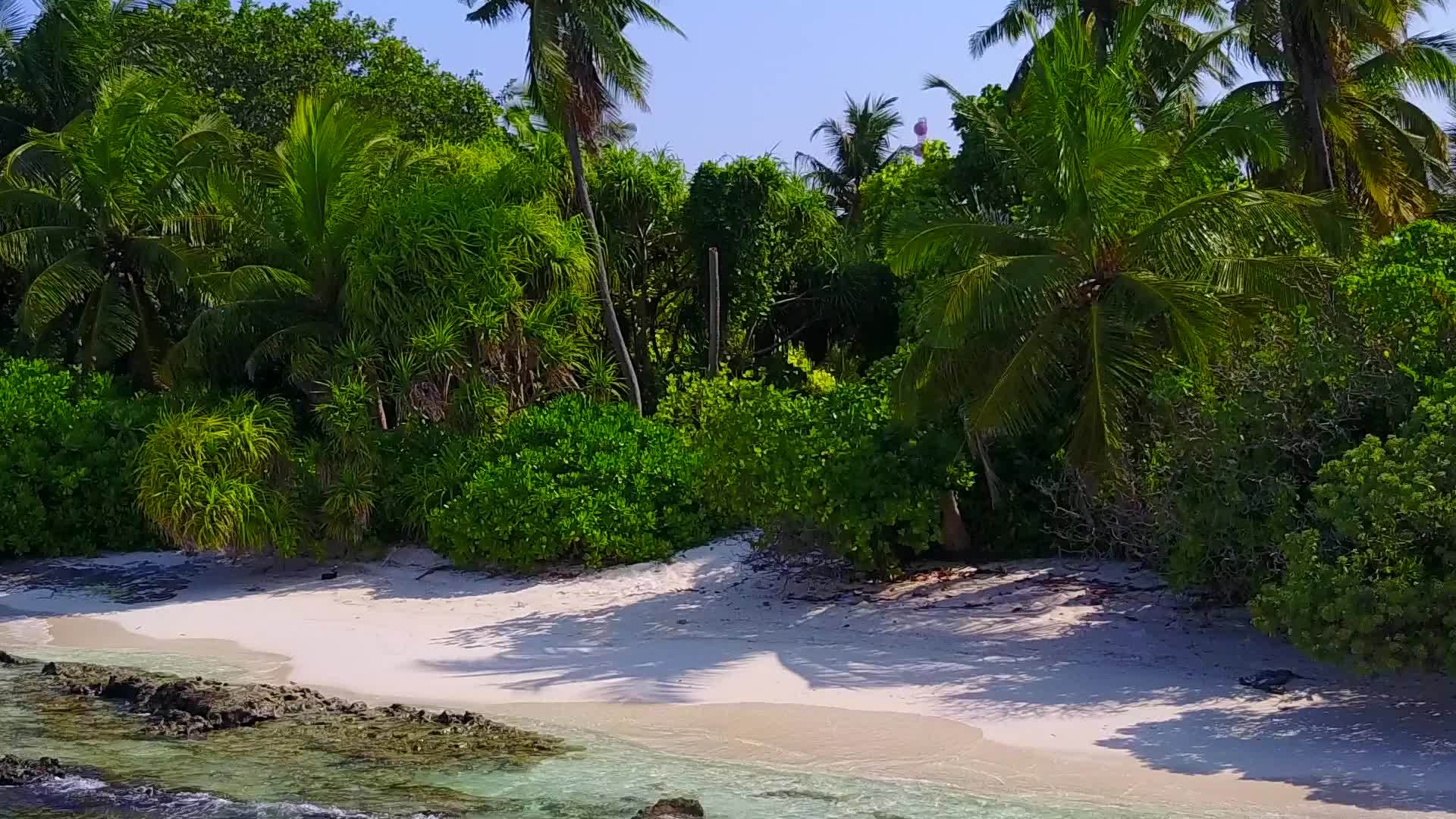 美丽的岛屿海滩白色的海滩背景由透明的环礁湖和海浪关闭视频的预览图