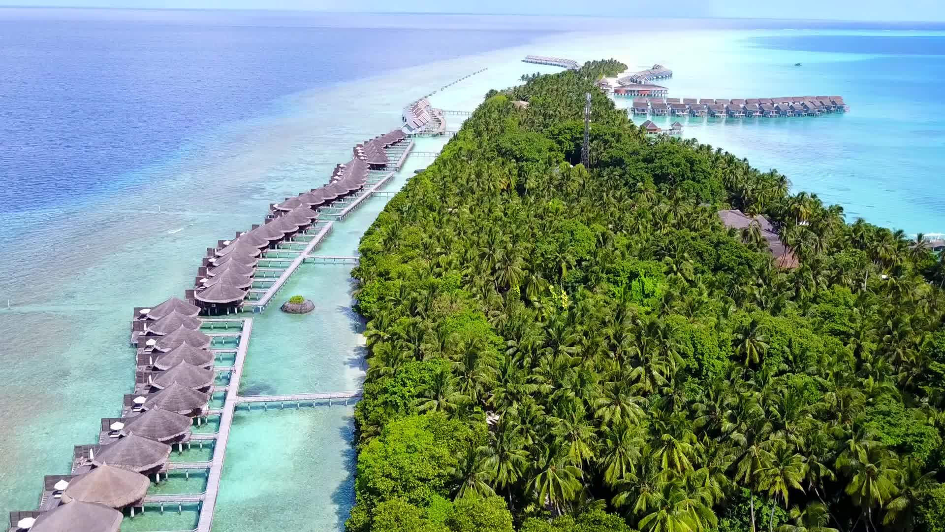 棕榈树附近的蓝色环礁和白色海滩背景的阳光明媚的海滩休息视频的预览图