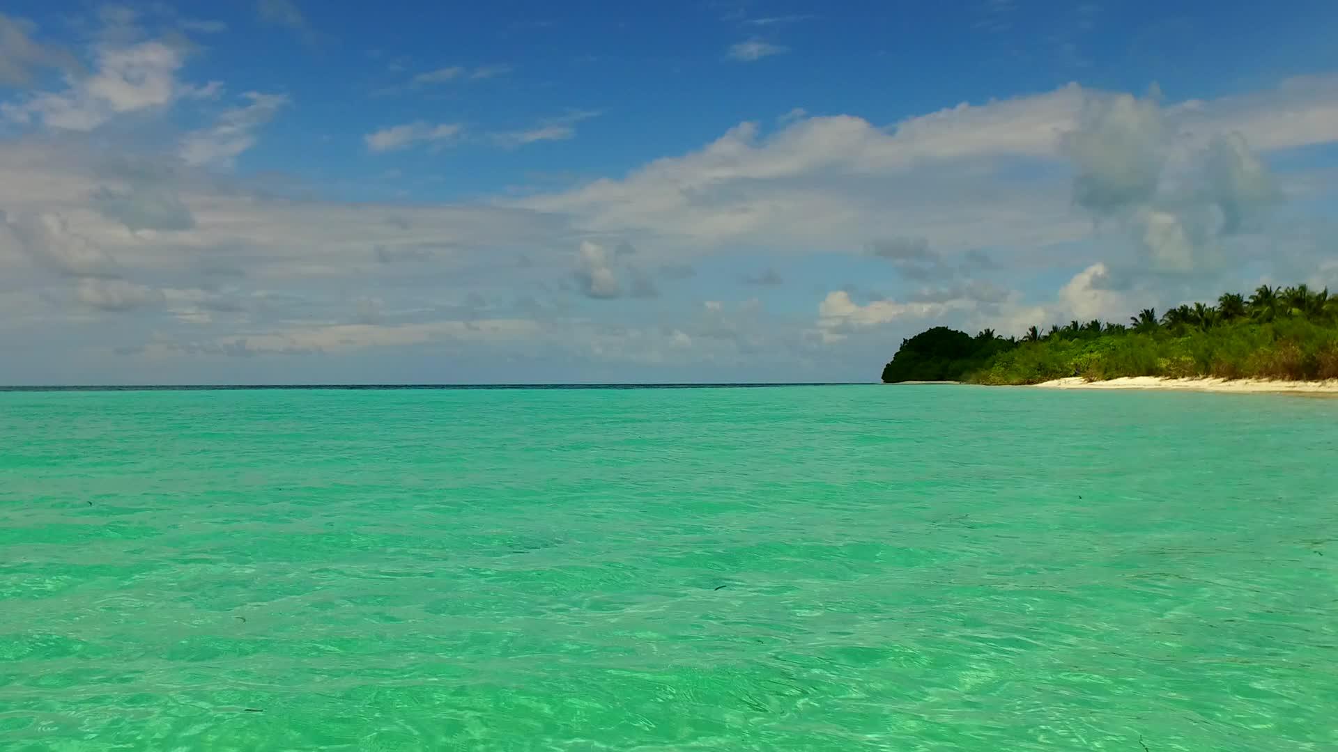 在蓝色的海洋和阳光下阳光明媚的海洋岛屿蓝色的沙色背景视频的预览图