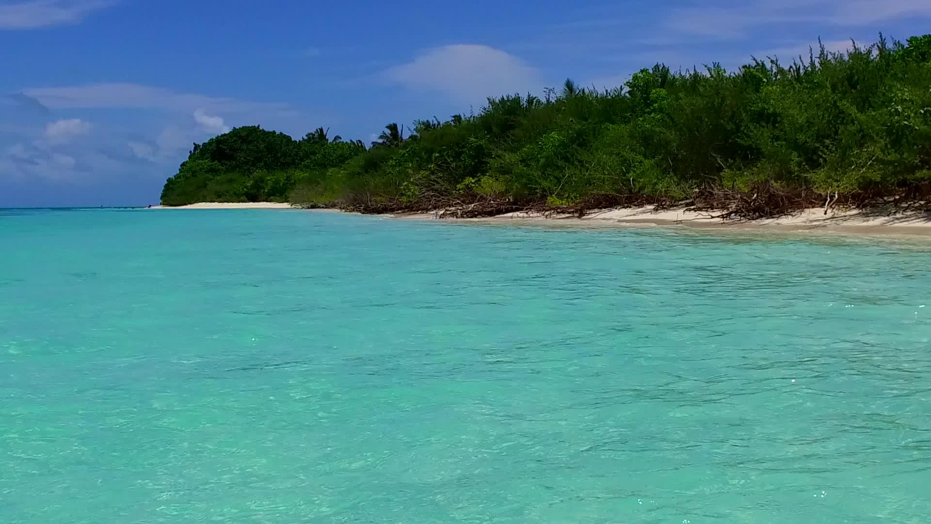 棕榈树附近有一个白色的海滩背景浅海阳光明媚的海洋海岸海滩视频的预览图