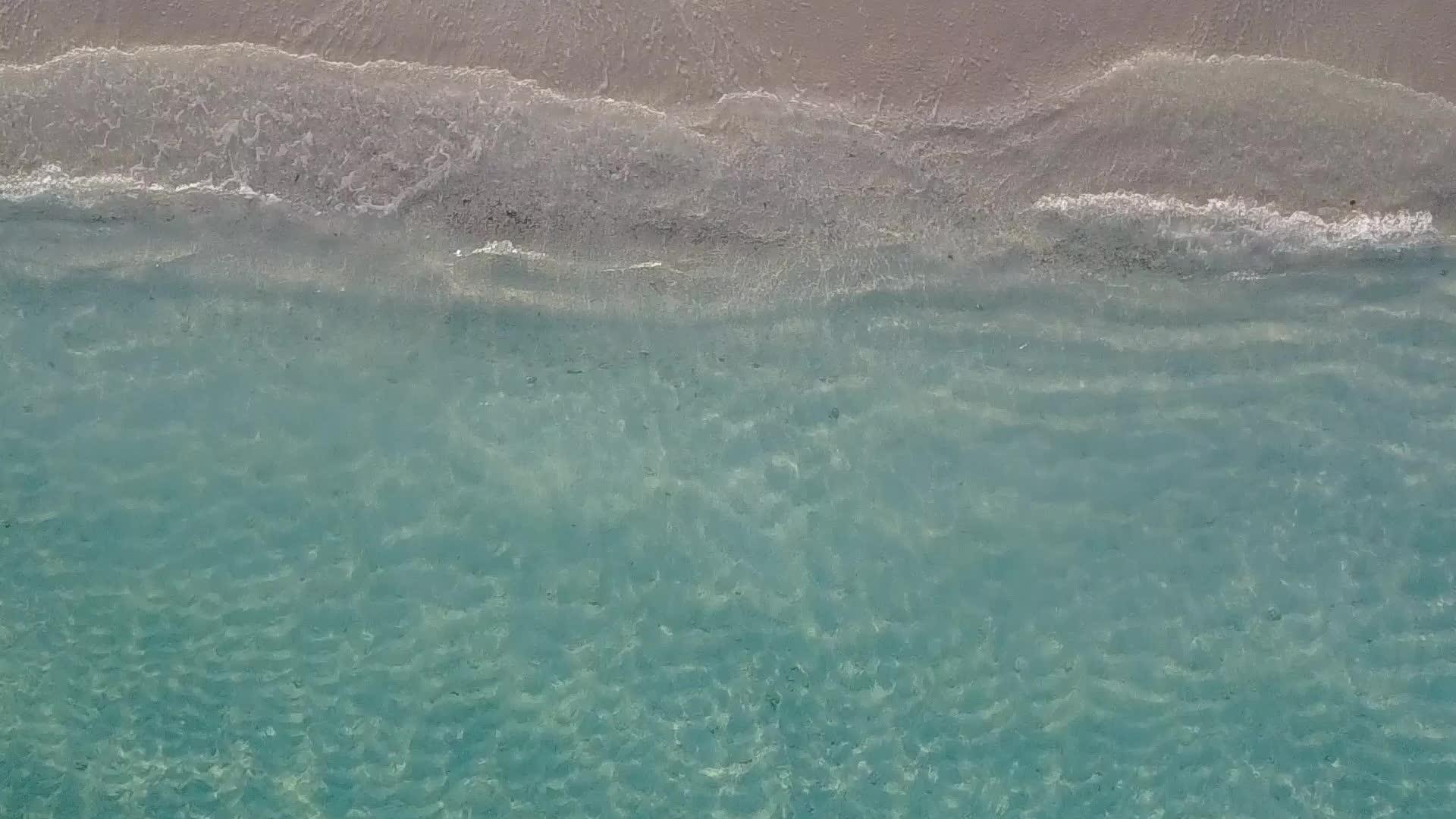棕榈树附近的清环礁湖和白色海滩的背景视频的预览图