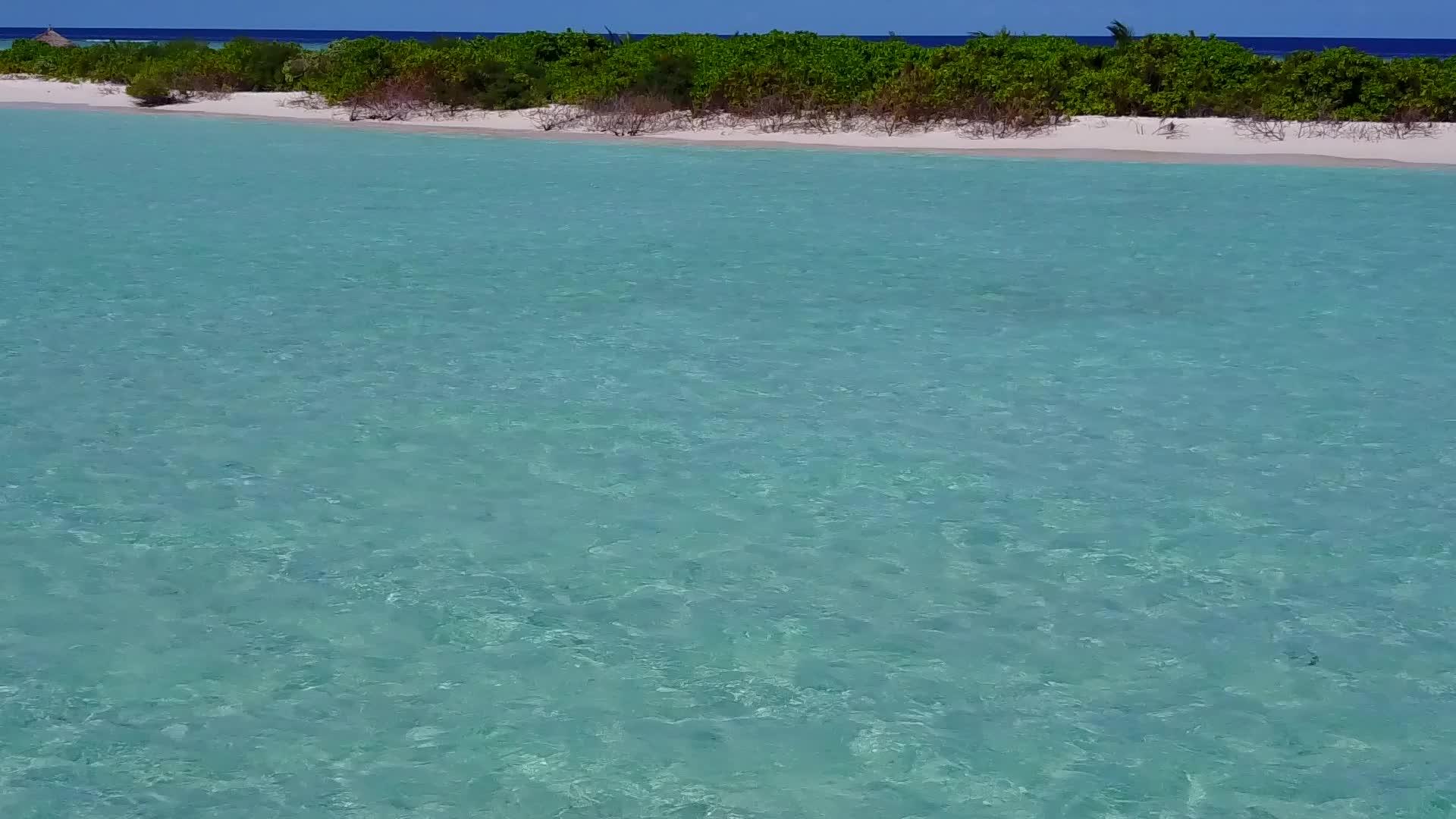 风景浪漫旅游在海滩上游蓝海棕榈树附近有一个白色的沙子背景视频的预览图