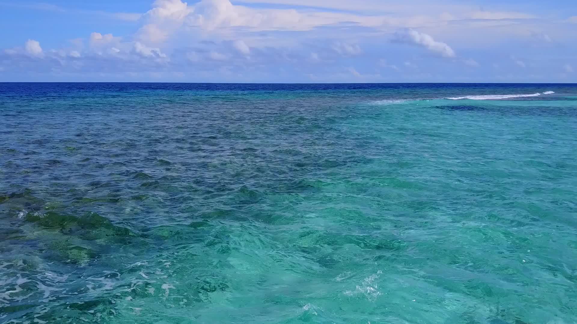 棕榈树附近有一色海洋有一个白色的沙底背景沿着蓝色的海洋生活视频的预览图