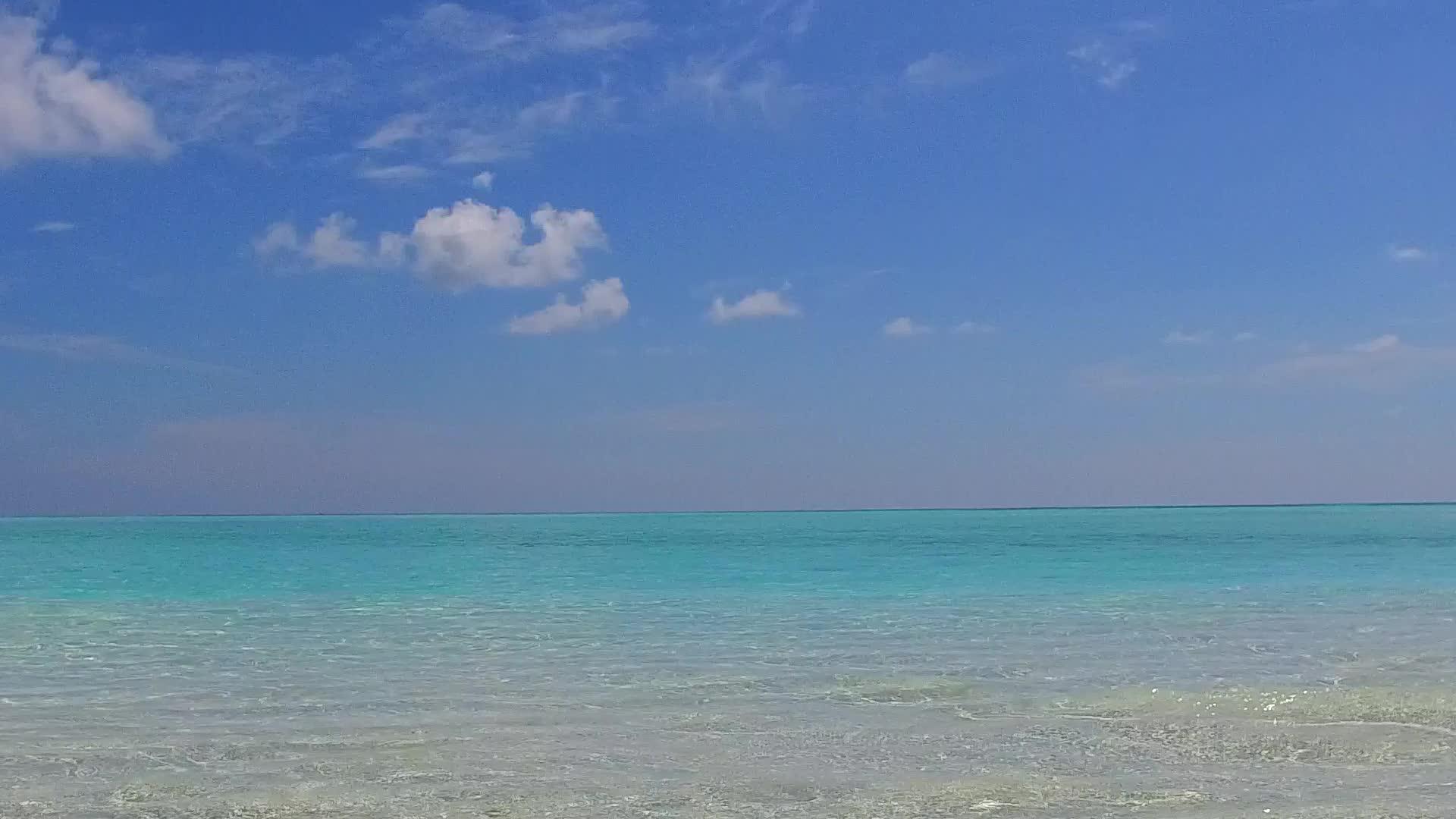 海滩野生旅游生物以蓝水和珊瑚礁附近的白沙为背景视频的预览图
