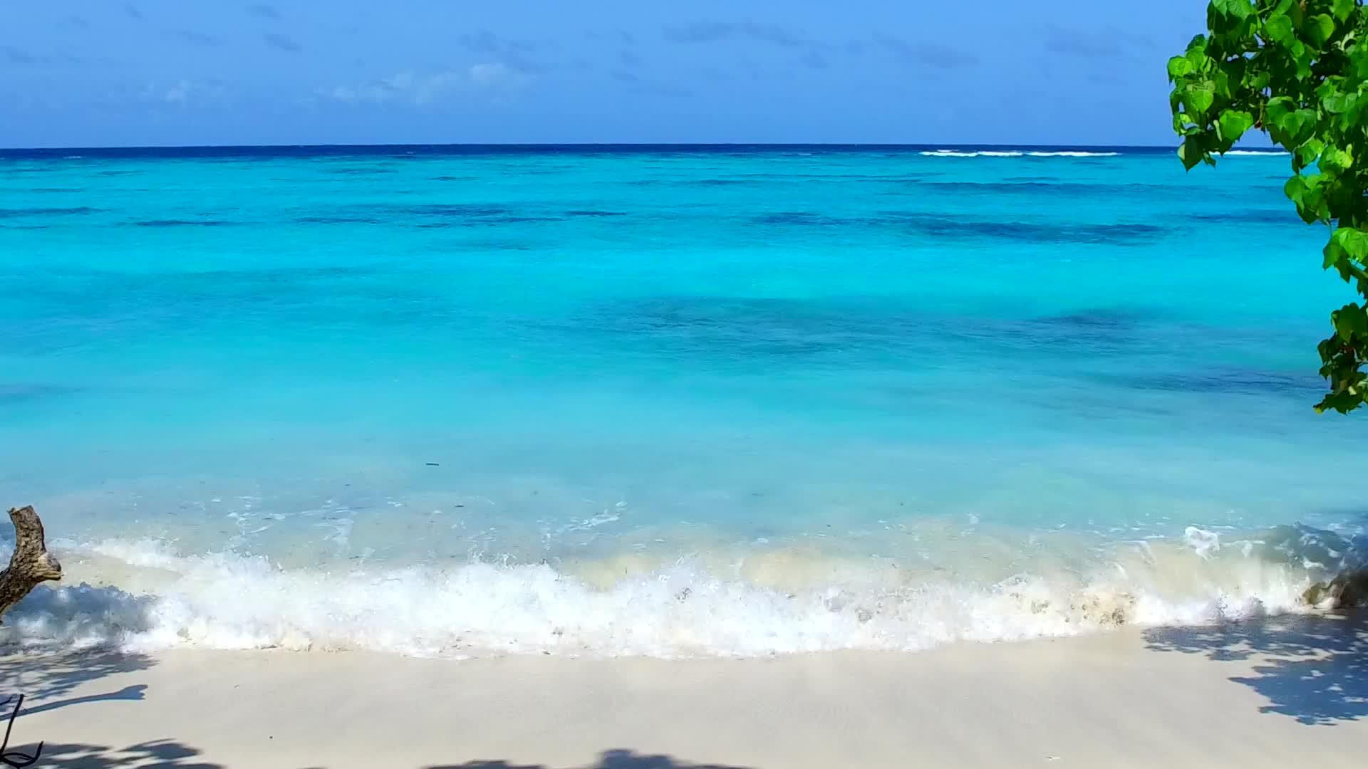 在阳光下环礁湖清空的海滩景色由绿海和白色海滩组成视频的预览图