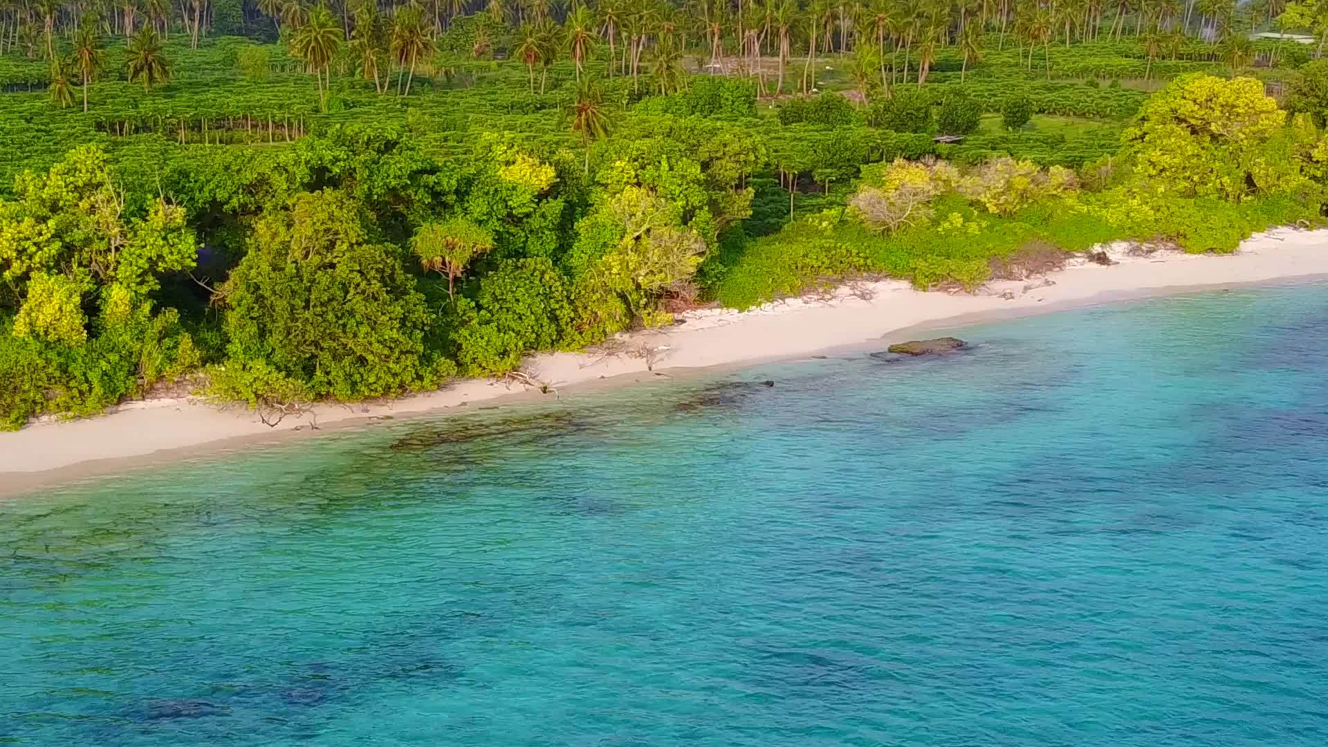 海岸海滩野生动物用清澈的海水和波浪附近的白色沙子背景复制视频的预览图