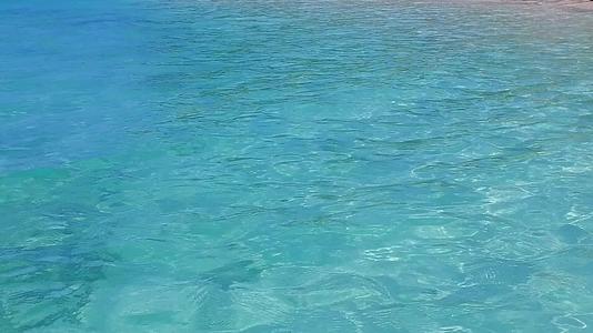 海滨假日外来海洋观景热全景全景蓝水和棕榈树附近的白沙背景视频的预览图
