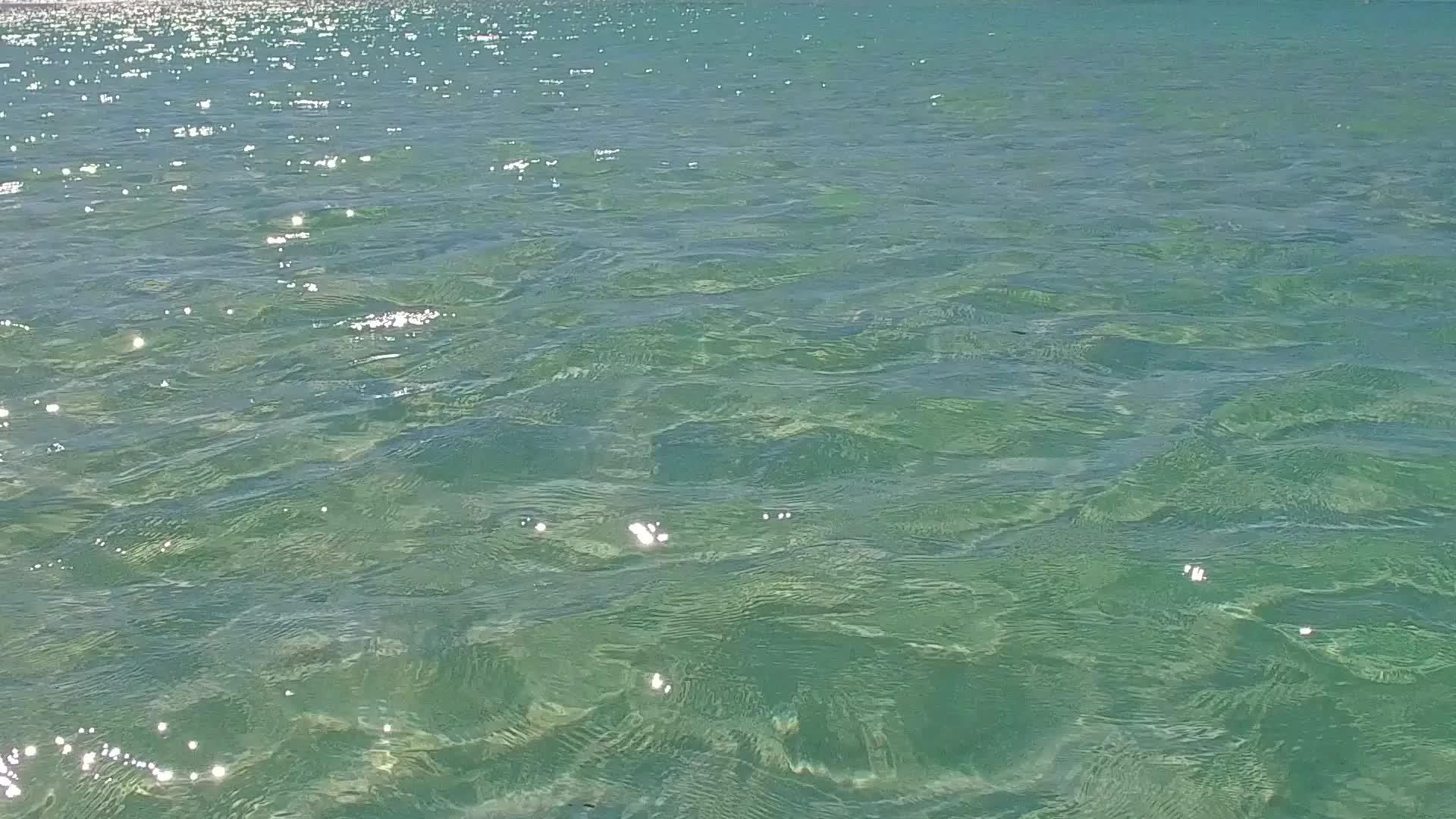 蓝色的海洋和阳光下美丽的环礁湖海滩度假的温暖视频的预览图