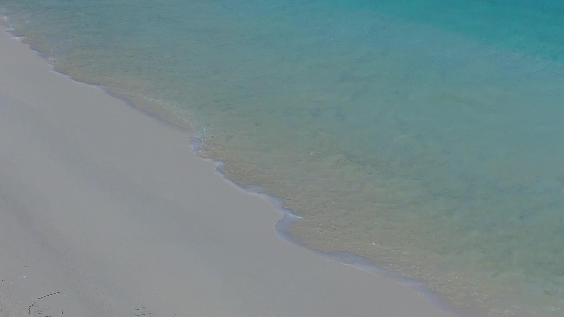 在接近冲浪的白色海滩的背景下浅海和奇怪的海滩上的野生生物是开放的视频的预览图