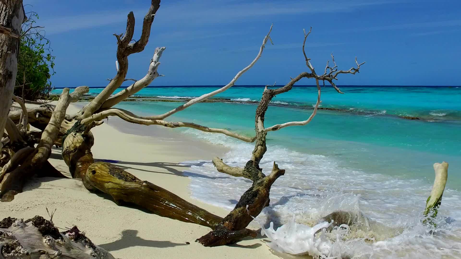 蓝绿色的海洋和靠近波浪的白沙背景的豪华旅游海滩之旅视频的预览图