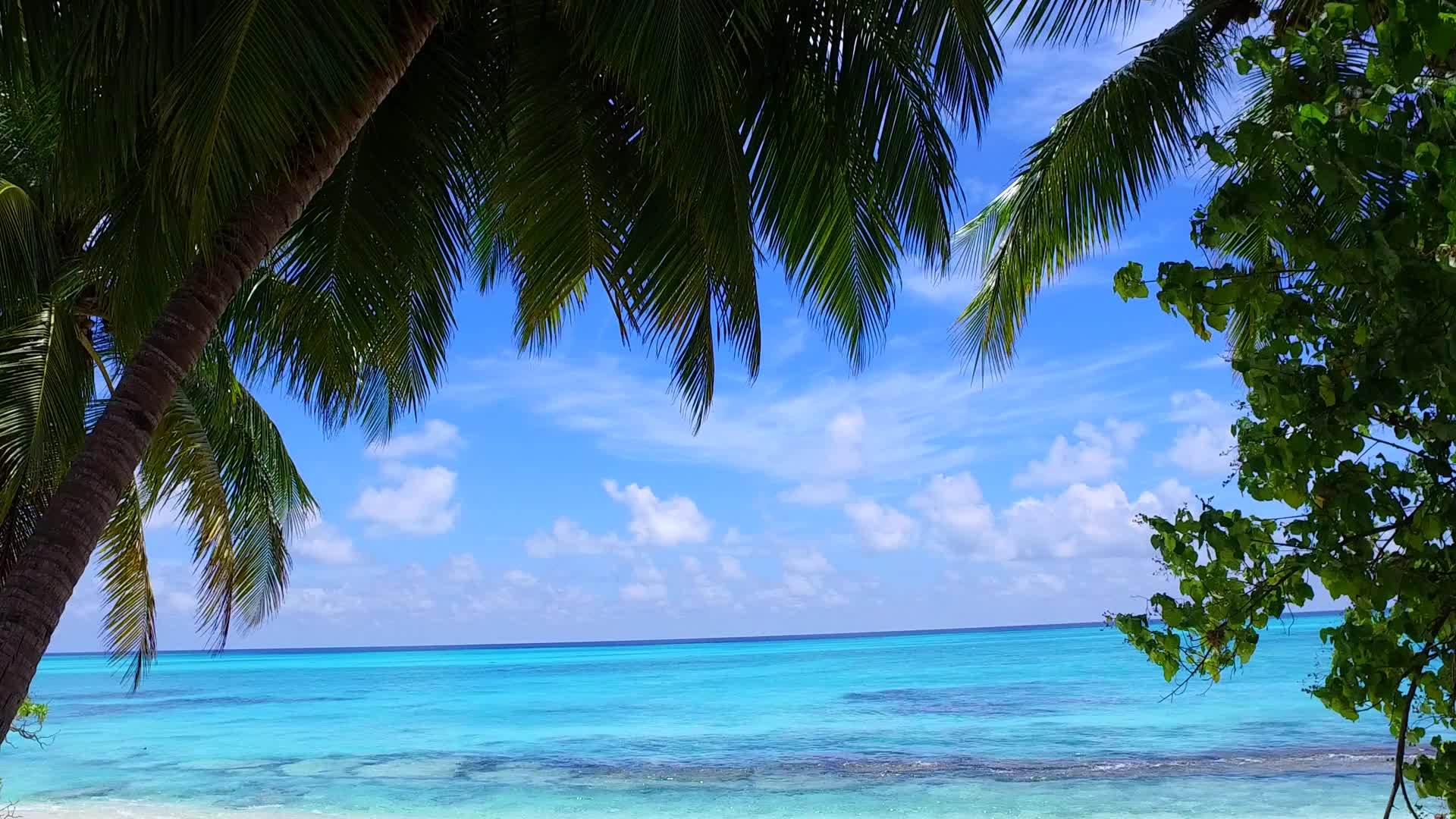 阳光明媚的天堂度假胜地日出后海景以水、蓝水、白沙为背景视频的预览图