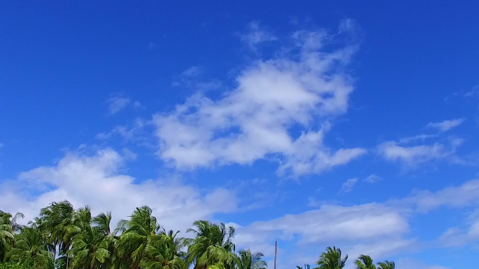在沙巴附近的透明环礁湖和白色海滩的背景下阳光明媚的旅游业视频的预览图