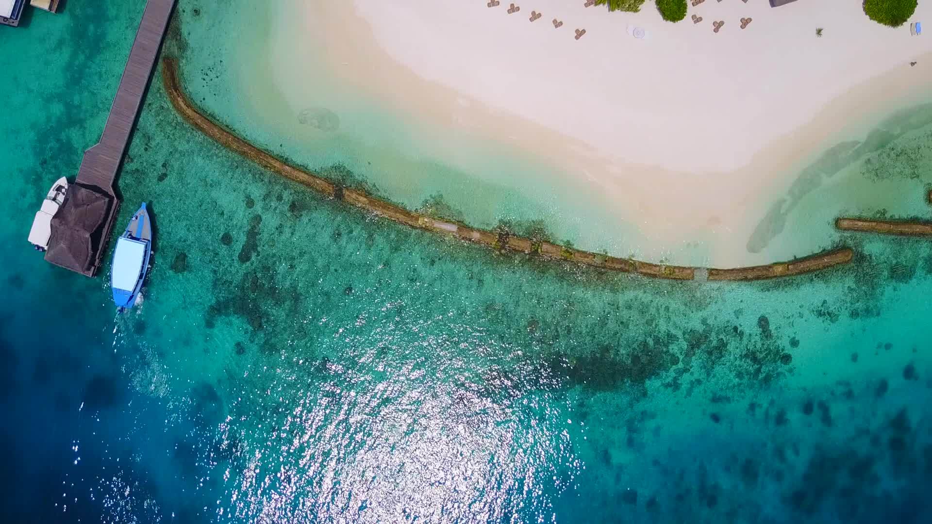豪华度假海滩野生动物以蓝绿色海洋和沙洲附近的白色海滩为背景视频的预览图