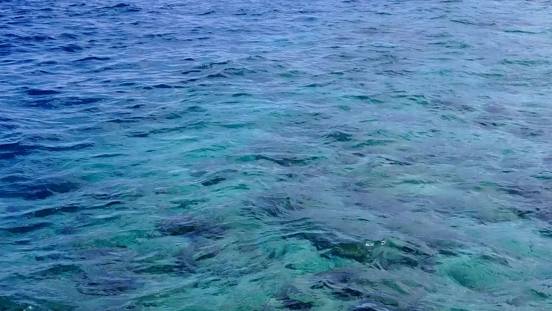 阳光明媚的海滨海滩节日全景由蓝水提供珊瑚礁附近有明亮的水视频的预览图