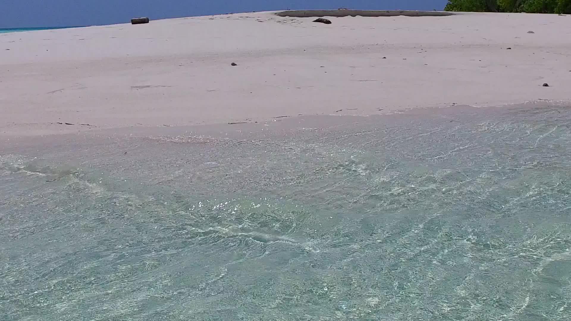 蓝色海洋热带海滩旅游棕榈树附近有白色的沙子背景视频的预览图
