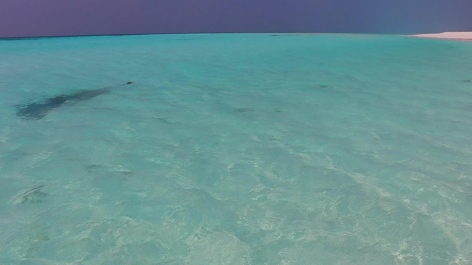 沿着浅海沿着宁静的海滩旅行在珊瑚礁附近的浅海中有明亮的沙子背景视频的预览图