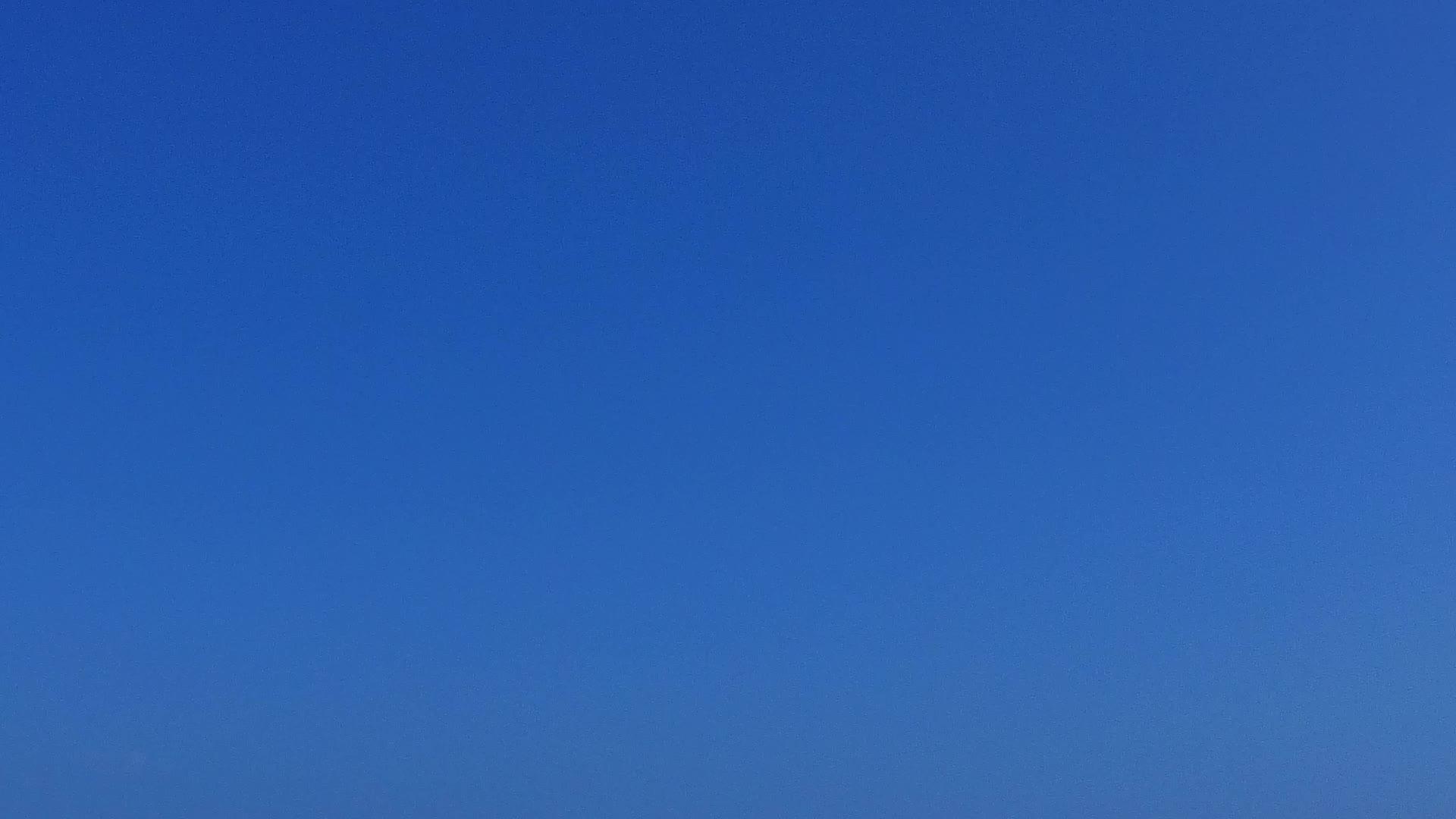 棕榈树附近有白色沙滩背景的蓝色海洋以放松海岸线海滩之旅的开放风景视频的预览图