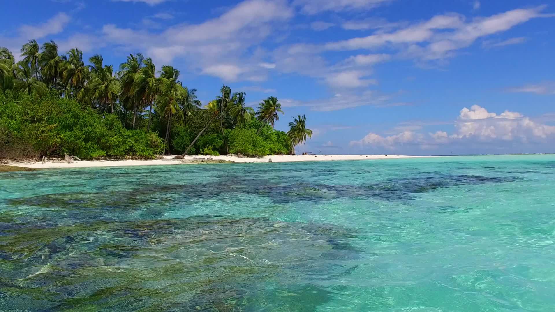 阳光明媚由松绿环礁湖和海浪附近的浅沙背景组成视频的预览图