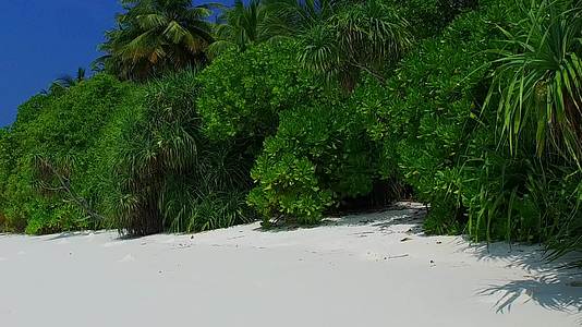 夏季宁静湾海滩度假浅水和白沙背景靠近波浪视频的预览图