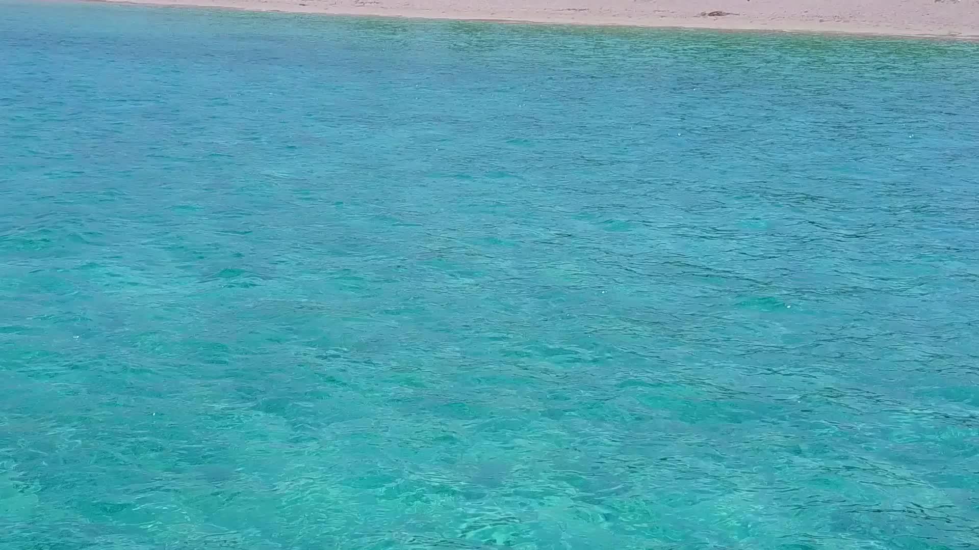 蓝环礁有一个白色的沙子背景在蓝环礁的阳光下以探险为天堂视频的预览图