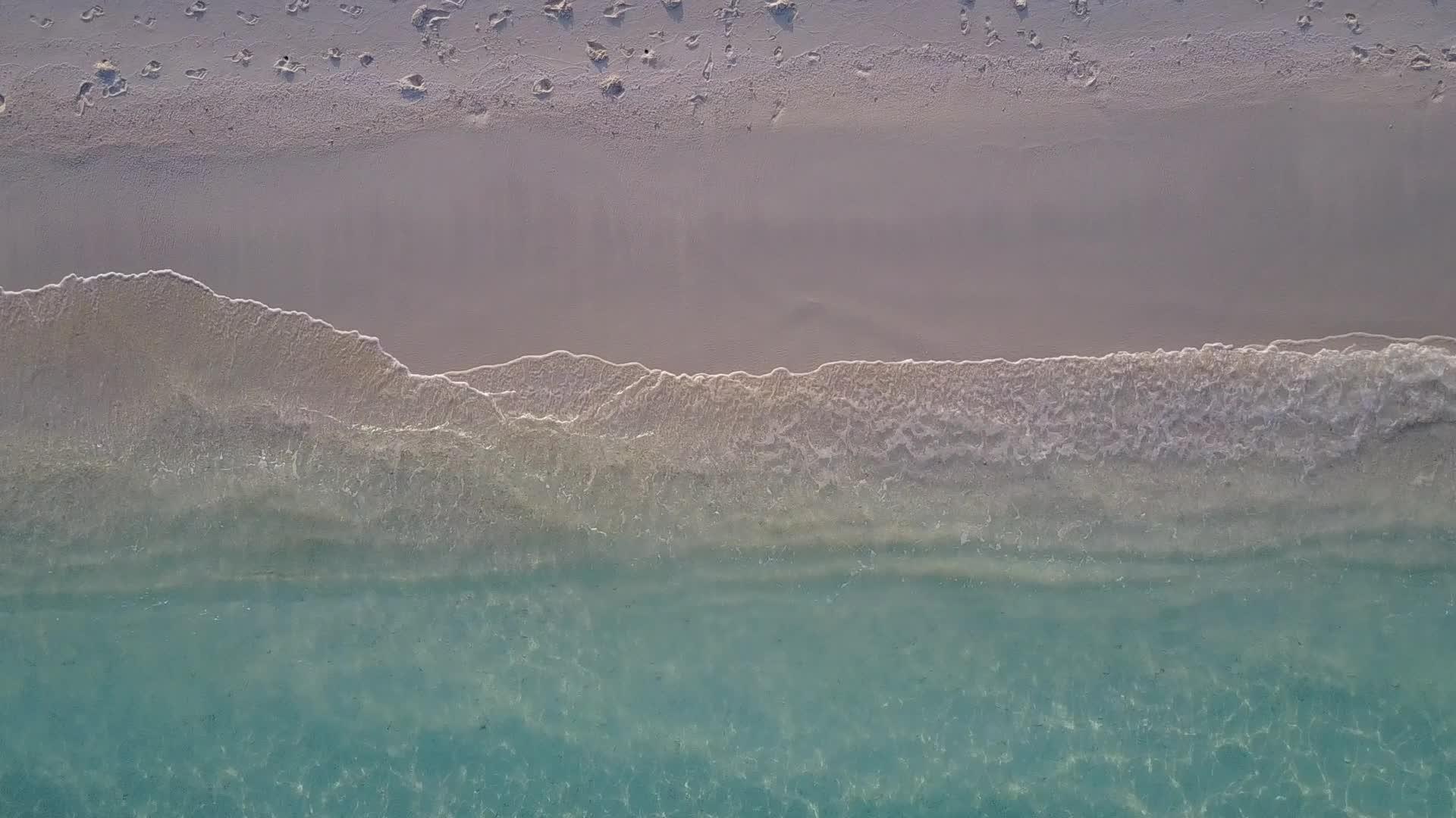 浅环礁湖在棕榈树附近有一个干净的沙滩浅滩视频的预览图
