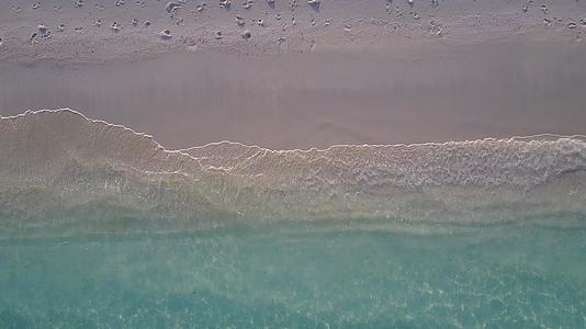 浅环礁湖在棕榈树附近有一个干净的沙滩浅滩视频的预览图