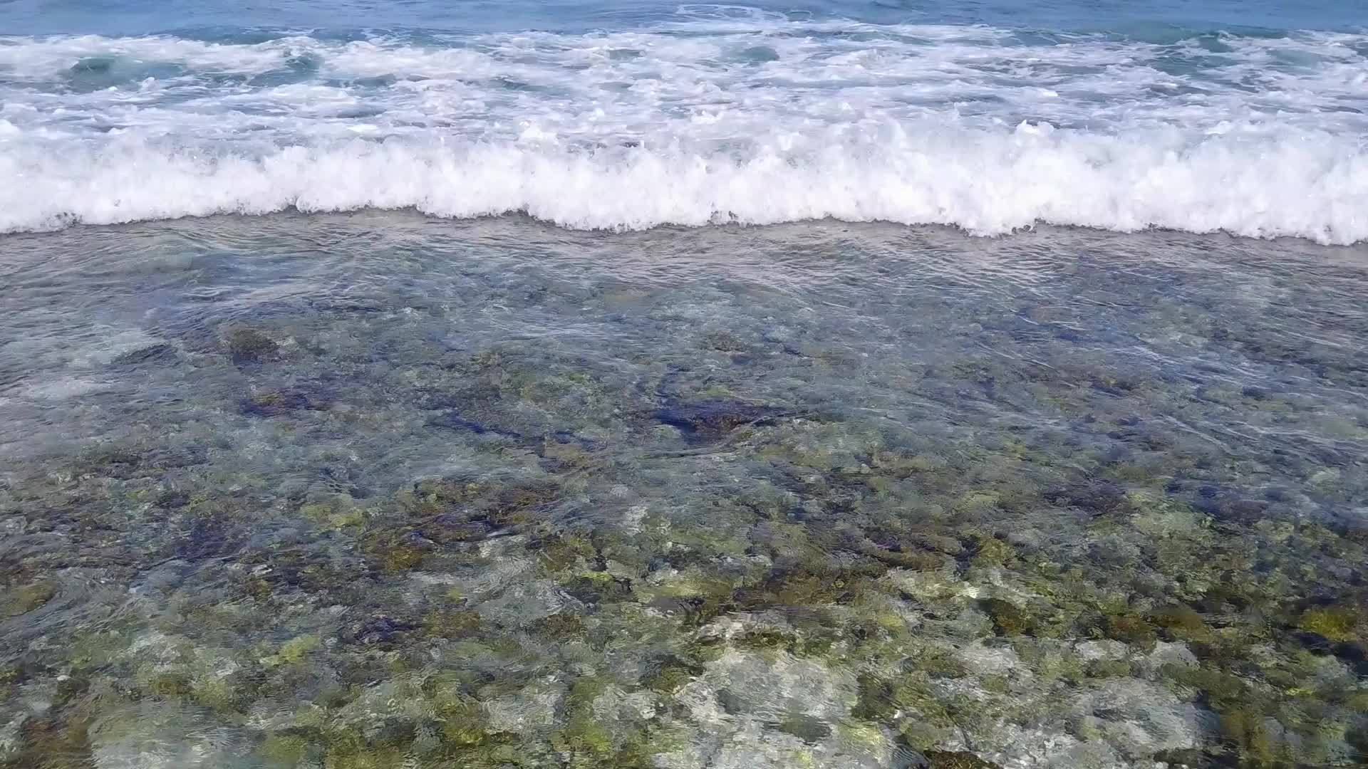 阳光明媚的热带海岸海滩旅行时间以蓝海和白沙为基础视频的预览图