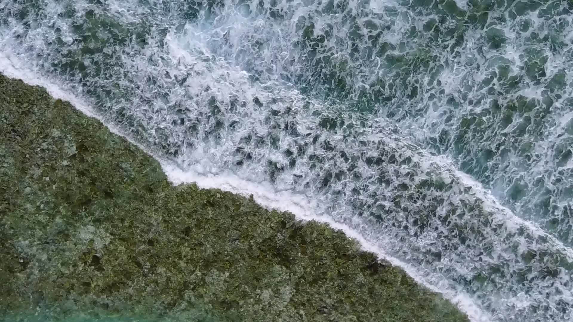 棕榈海滨探险之旅由棕榈附近的绿水和白沙背景组成视频的预览图